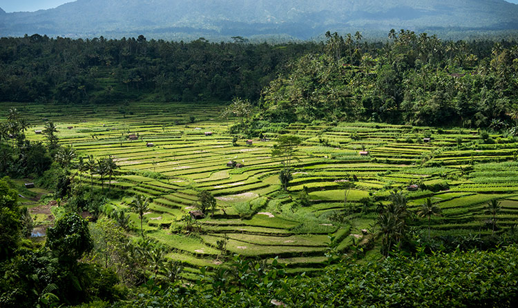 Photographie de mon voyage à Bali