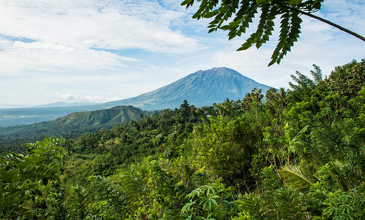 Photographie de mon voyage à Bali